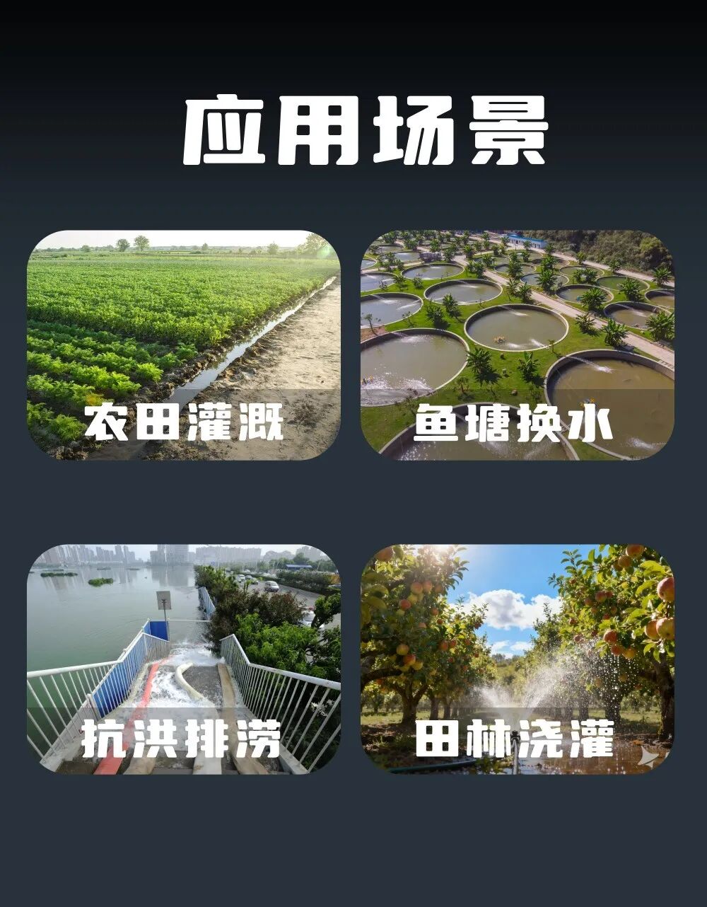 轻巧耐磨,动力澎湃 | 小金刚轻便型不锈钢潜水泵
