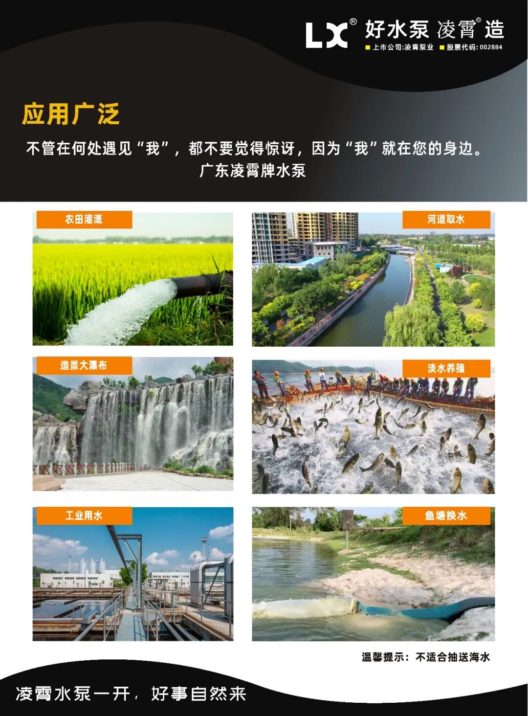 新品上市丨QY-SS轻便型油浸式潜水泵
